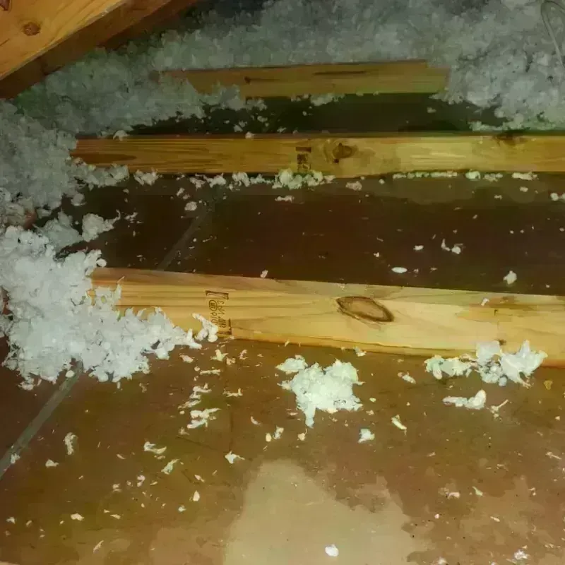 Attic Water Damage in Thompson, ND