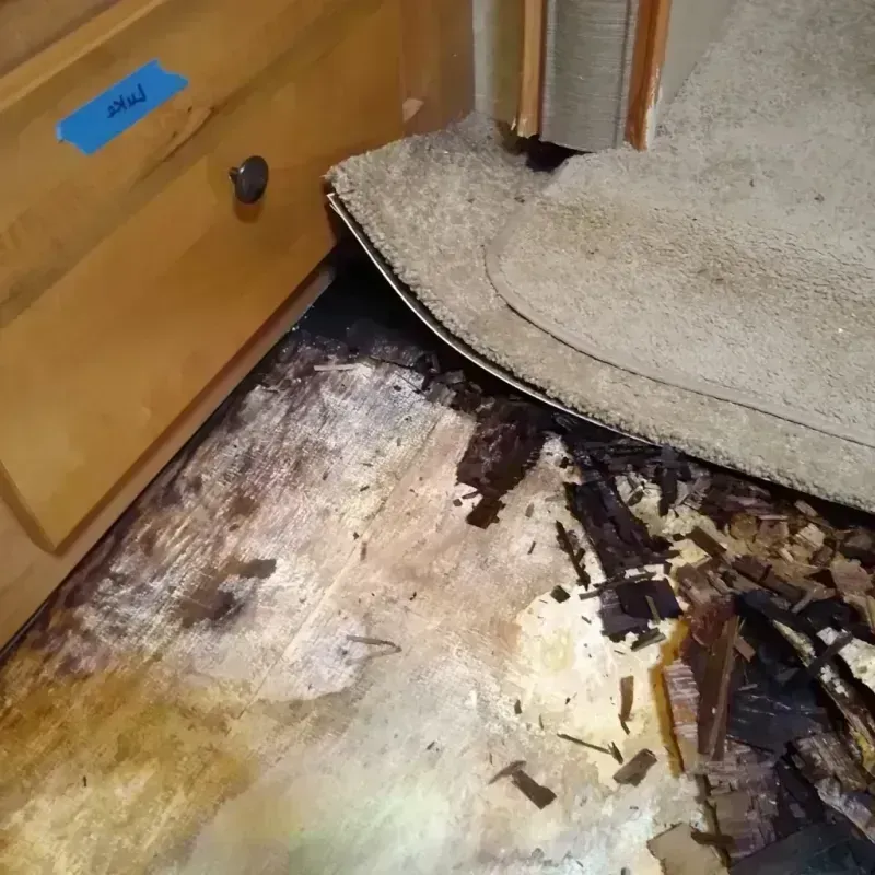 Best Wood Floor Water Damage Service in Thompson, ND